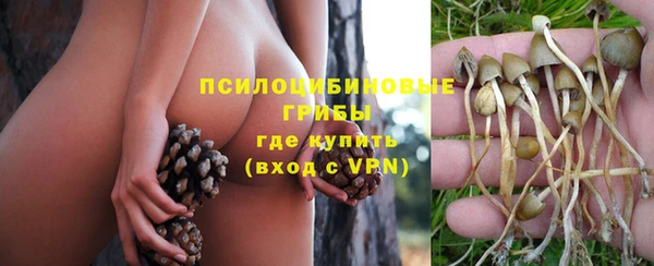 ECSTASY Абдулино