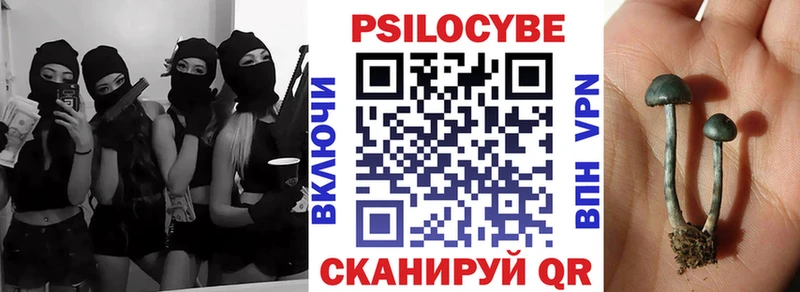 Галлюциногенные грибы Psilocybine cubensis  ОМГ ОМГ маркетплейс  shop формула  Электросталь 