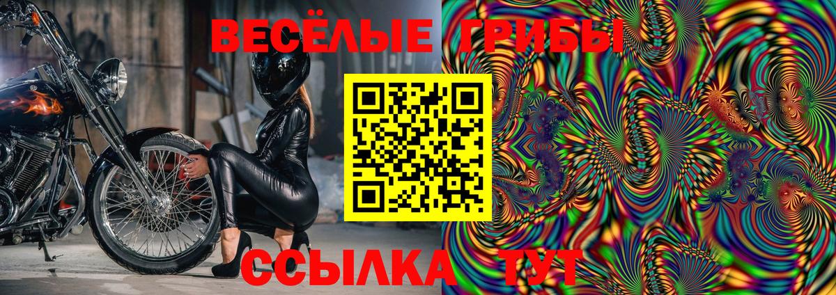 Галлюциногенные грибы Psilocybe  Вход с VPN  Электросталь 