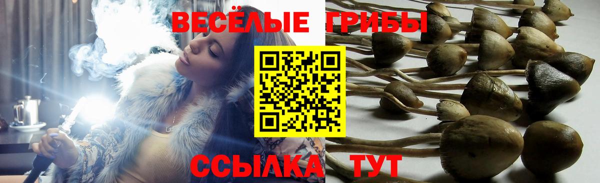 Галлюциногенные грибы мицелий Электросталь